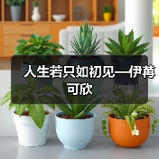 人生若只如初见—伊苒可欣（图4）