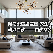 候鸟聚智绘蓝图 政企联动兴白沙——白沙茶乡候鸟人才工作站携手澄迈共拓发