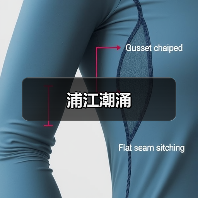 浦江潮涌