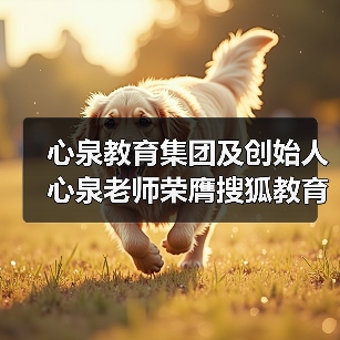 心泉教育集团及创始人心泉老师荣膺搜狐教育年度双项大奖(图3) 心泉教育集团及创始人心泉老师荣膺搜狐教育年度双项大奖(图3)