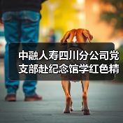 中融人寿四川分公司党支部赴纪念馆学红色精神,缅怀先烈守初心(图4) 中融人寿四川分公司党支部赴纪念馆学红色精神,缅怀先烈守初心(图4)