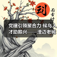 党建引领聚合力 候鸟人才助振兴——澄迈老城社区发展协会开展考察采风活动（图2）