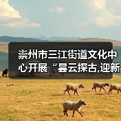 崇州市三江街道文化中心开展“昙云探古,迎新纳福”元旦文化探访活动（图3）