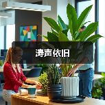 涛声依旧
