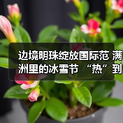 边境明珠绽放国际范 满洲里的冰雪节 “热”到了港澳台（图2）