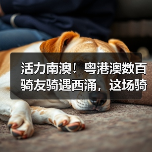 活力南澳!粤港澳数百骑友骑遇西涌,这场骑行活动太上头(图4) 活力南澳!粤港澳数百骑友骑遇西涌,这场骑行活动太上头(图4)