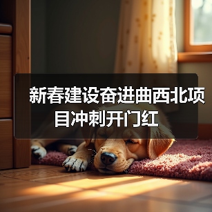 新春建设奋进曲西北项目冲刺开门红