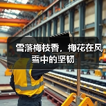 雪落梅枝香,梅花在风雪中的坚韧(图4) 雪落梅枝香,梅花在风雪中的坚韧(图4)