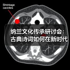 纳兰文化传承研讨会:古典诗词如何在新时代焕发新生?(图2) 纳兰文化传承研讨会:古典诗词如何在新时代焕发新生?(图2)