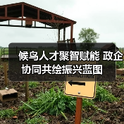 候鸟人才聚智赋能 政企协同共绘振兴蓝图