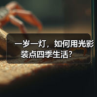 一岁一灯，如何用光影装点四季生活？（图3）
