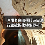 泸州老窖如何打造白酒行业数智化转型标杆?(图3) 泸州老窖如何打造白酒行业数智化转型标杆?(图3)