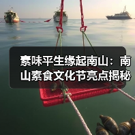 素味平生缘起南山：南山素食文化节亮点揭秘（图2）