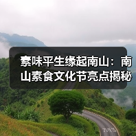 素味平生缘起南山：南山素食文化节亮点揭秘