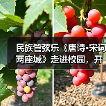 民族管弦乐《唐诗·宋词两座城》走进校园,开启文化传承新课堂(图2) 民族管弦乐《唐诗·宋词两座城》走进校园,开启文化传承新课堂(图2)