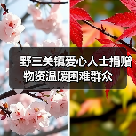 野三关镇爱心人士捐赠物资温暖困难群众（图4）