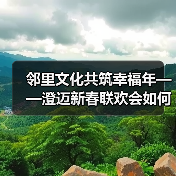 邻里文化共筑幸福年——澄迈新春联欢会如何点燃社区活力?(图3) 邻里文化共筑幸福年——澄迈新春联欢会如何点燃社区活力?(图3)