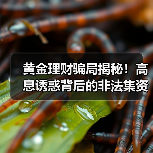 黄金理财骗局揭秘!高息诱惑背后的非法集资风险(图3) 黄金理财骗局揭秘!高息诱惑背后的非法集资风险(图3)
