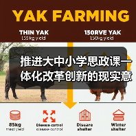 推进大中小学思政课一体化改革创新的现实意义与实践路径(图4) 推进大中小学思政课一体化改革创新的现实意义与实践路径(图4)
