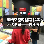 跨域交流谋新篇 候鸟人才话发展——白沙县茶乡候鸟人才工作站赴澄迈学习交(图2) 跨域交流谋新篇 候鸟人才话发展——白沙县茶乡候鸟人才工作站赴澄迈学习交(图2)