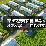跨域交流谋新篇 候鸟人才话发展——白沙县茶乡候鸟人才工作站赴澄迈学习交(图1) 跨域交流谋新篇 候鸟人才话发展——白沙县茶乡候鸟人才工作站赴澄迈学习交(图1)