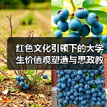 红色文化引领下的大学生价值观塑造与思政教育衔接(图2) 红色文化引领下的大学生价值观塑造与思政教育衔接(图2)
