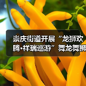 崇庆街道开展“龙狮欢腾·祥瑞巡游”舞龙舞狮巡游互动展演(图4) 崇庆街道开展“龙狮欢腾·祥瑞巡游”舞龙舞狮巡游互动展演(图4)