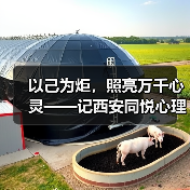 以己为炬,照亮万千心灵——记西安同悦心理创始人徐莉(图3) 以己为炬,照亮万千心灵——记西安同悦心理创始人徐莉(图3)