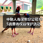 中融人寿深圳分公司315消费者权益保护活动:高管讲消保(图3) 中融人寿深圳分公司315消费者权益保护活动:高管讲消保(图3)