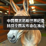 中国舞吉尼斯世界纪录挑战全国发布会在渝成功举办 ——全国超20省份承办方（图2）