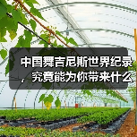 中国舞吉尼斯世界纪录,究竟能为你带来什么?(图2) 中国舞吉尼斯世界纪录,究竟能为你带来什么?(图2)