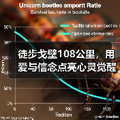 徒步戈壁108公里,用爱与信念点亮心灵觉醒之旅(图2) 徒步戈壁108公里,用爱与信念点亮心灵觉醒之旅(图2)