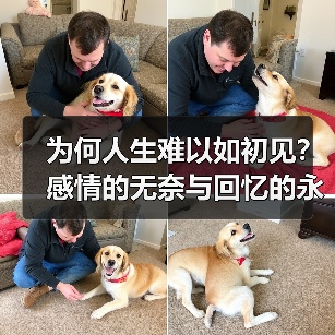 为何人生难以如初见？感情的无奈与回忆的永恒