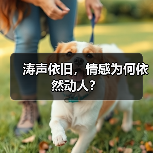 涛声依旧，情感为何依然动人？（图3）