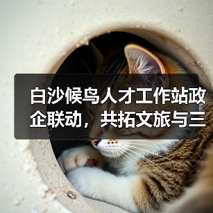 白沙候鸟人才工作站政企联动,共拓文旅与三农融合发展新路径?(图2) 白沙候鸟人才工作站政企联动,共拓文旅与三农融合发展新路径?(图2)