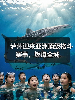 泸州迎来亚洲顶级格斗赛事，燃爆全城