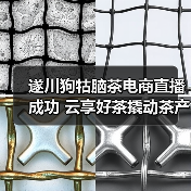 遂川狗牯脑茶电商直播成功 云享好茶撬动茶产业数字化转型(图4) 遂川狗牯脑茶电商直播成功 云享好茶撬动茶产业数字化转型(图4)