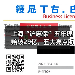 上海“沪惠保”五年理赔破29亿,五大亮点助力健康保障(图4) 上海“沪惠保”五年理赔破29亿,五大亮点助力健康保障(图4)
