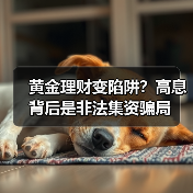 黄金理财变陷阱?高息背后是非法集资骗局(图3) 黄金理财变陷阱?高息背后是非法集资骗局(图3)