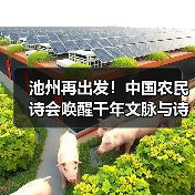 池州再出发!中国农民诗会唤醒千年文脉与诗意乡居(图4) 池州再出发!中国农民诗会唤醒千年文脉与诗意乡居(图4)
