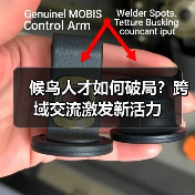 候鸟人才如何破局?跨域交流激发新活力(图4) 候鸟人才如何破局?跨域交流激发新活力(图4)