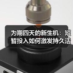 为期四天的新生机：短暂投入如何激发持久活力？