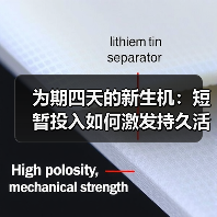 为期四天的新生机：短暂投入如何激发持久活力？（图2）