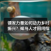 银发力量如何助力乡村振兴？候鸟人才田间指导助农增收（图2）