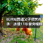杭州双国遗父子铜艺传承：连续11年登央视除夕主播台（图2）