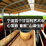 宁波首个非营利艺术中心落地 首展 宁波首个非营利艺术中心落地 首展