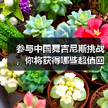 参与中国舞吉尼斯挑战，你将获得哪些超值回报？（图3）