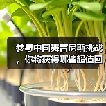 参与中国舞吉尼斯挑战，你将获得哪些超值回报？（图4）