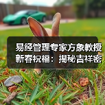 易经管理专家方象教授新春祝福:揭秘吉祥密码与企业运势(图3) 易经管理专家方象教授新春祝福:揭秘吉祥密码与企业运势(图3)
