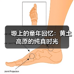 塬上的童年回忆:黄土高原的纯真时光(图4) 塬上的童年回忆:黄土高原的纯真时光(图4)